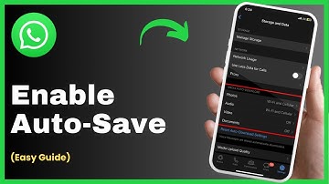 How To Automatically Save Photos From WhatsApp To Camera Roll - iPhone !