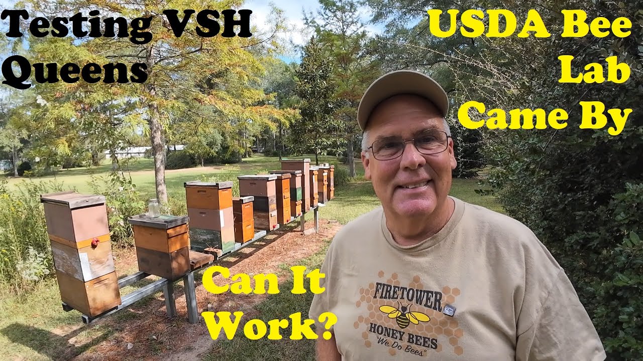 Борьба с клещом Варроа с помощью генетики | Пчеловодство, которое стоит посмотреть