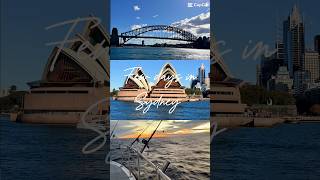 Few fun filled days in Sydney #sydney #travel #travelaustralia #bluemountainsaustralia #bridgeclimb