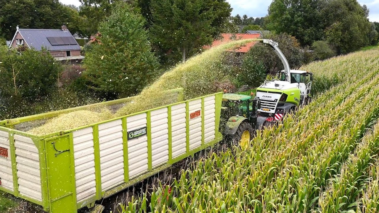 Maïs oogst 2025 van start met de Claas Jaguar 950. Loonb. Sportel.     4K.