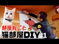 一室丸ごと猫部屋にしてみた!＃1