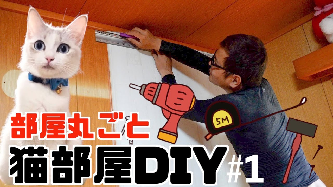 I made an entire room into a cat room! #1 - YouTube