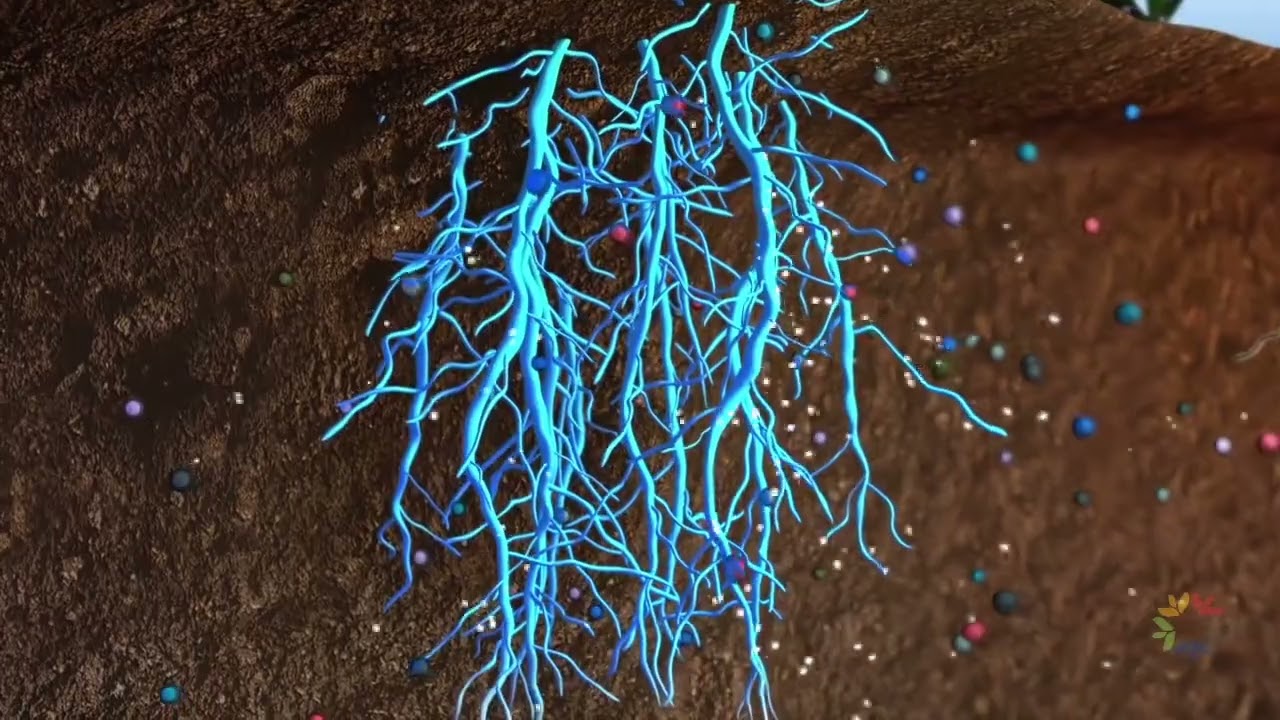 Higher quality, better-yielding crops with lowered production costs | The AgriGro Benefit