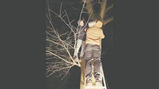 Schaatsen Bij Scz Zoelen