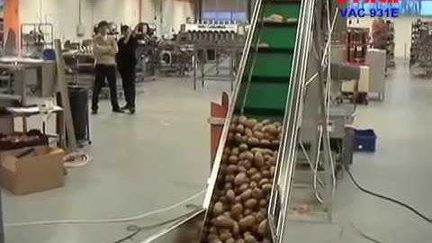 VAC 931E - Συσκευασία Πατάτας "Γραβάτα"