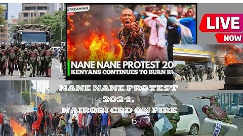 GENZ  NANENANE PROTESTS MAANDAMANO LIVE