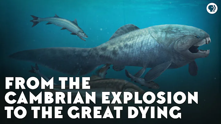 From the Cambrian Explosion to the Great Dying - DayDayNews