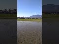 the feeling of happiness seeing the view with your sweetheart#Video Shorts'#