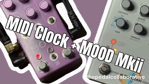 Using Midi Clock on @ChaseBlissAudio MOOD mkii feat. Microcosm #demo #delay #stereo #sync