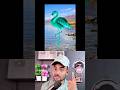 Does the flamingo turn pink 🤯
