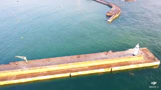 Mevagissey Harbour Flyover By Drone