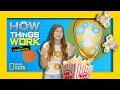 Popcorn Knowledge and Fun Facts