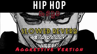 Hip Hop Wattuwa | Big Doggy | Slowed Reverb | SL Reverb Zone