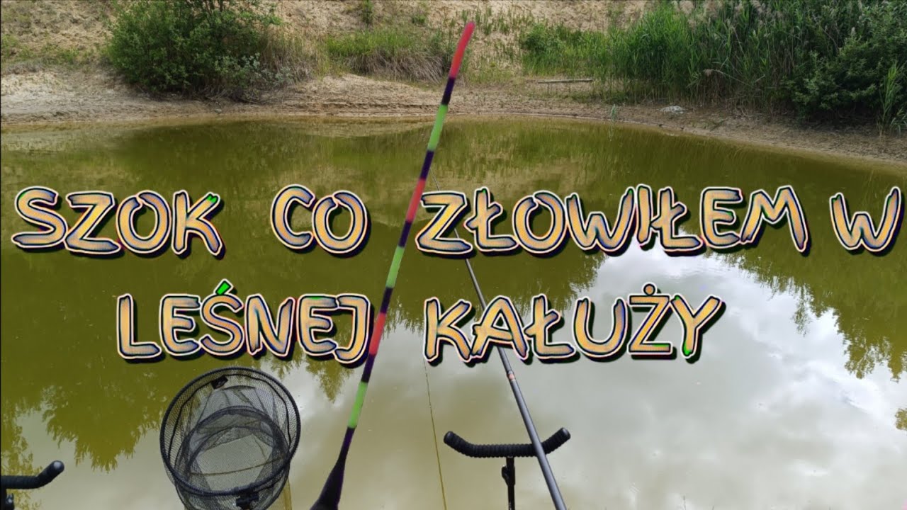 Obudziłam wspomnienia z dzieciństwa i początku wędkarstwa. Leśna kałuża sprawiła niespodziankę.