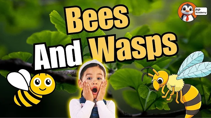 Bees vs Wasps: What's the Difference? Interactive Learning for Kids