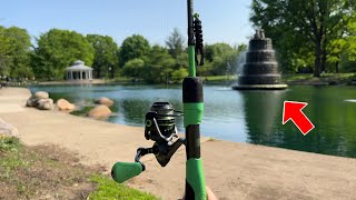 Decorative Pond at Public Park is LOADED WITH FISH!!! (LEGAL TO FISH HERE??)