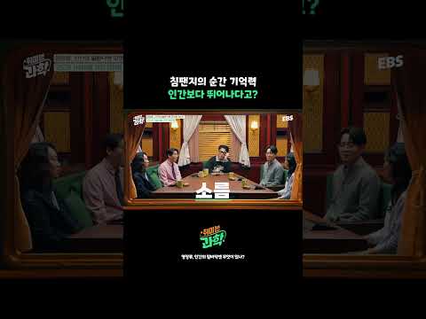 <strong>침팬지</strong> 너.. 뭐야.. #취미는과학 #영장류 #<strong>침팬지</strong>