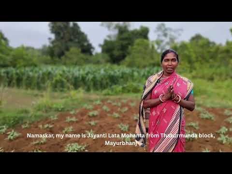 Farmer testimonials from Odisha, India