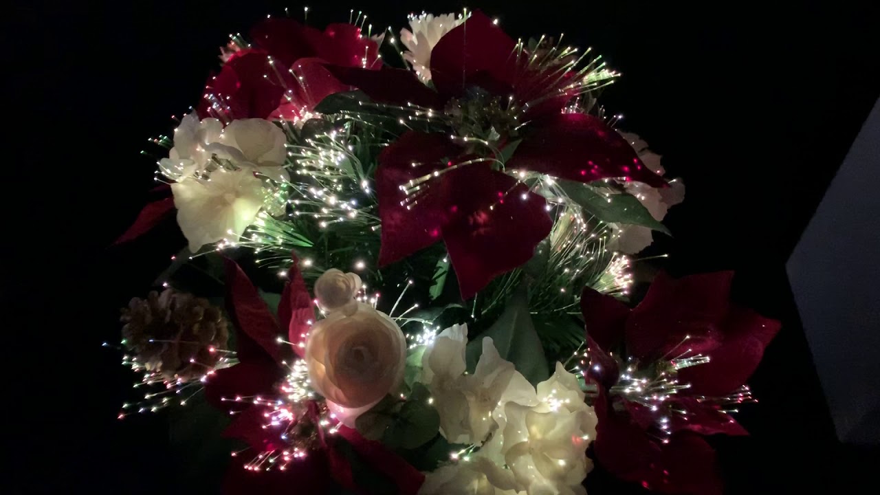 Fiber Optic Poinsettia Christmas Display Plant YouTube
