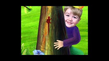 N is for Newt and Nest in (Backwards)