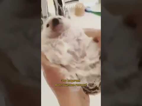 Все мы немного