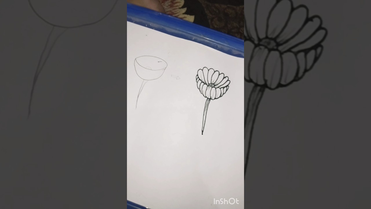 Floral perspective/drawing 