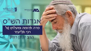 פרה אדומה ומעלתו של רבי אליעזר | אגדות הש"ס 78 | הרב יונתן רוזין
