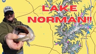 This Is How To Catch BIG BASS On North Carolina’s LAKE NORMAN!!