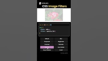 CSS Image Filters #css  #tutorjoes
