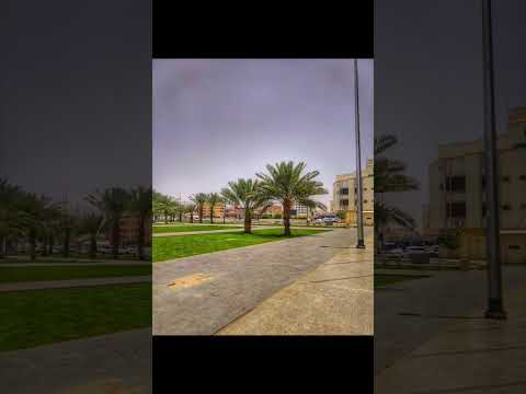 احلا تصوير لاحلا نخيل