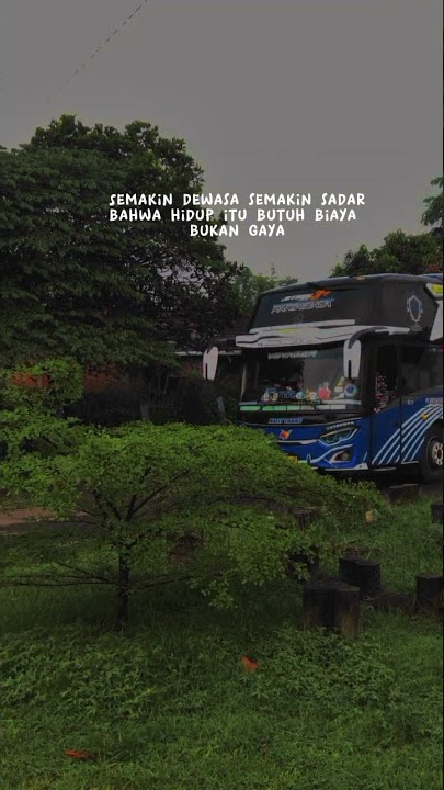 STORY' WA BUS KEREN~FREE DOWNLOAD [media fire]#shorts #viraltiktok