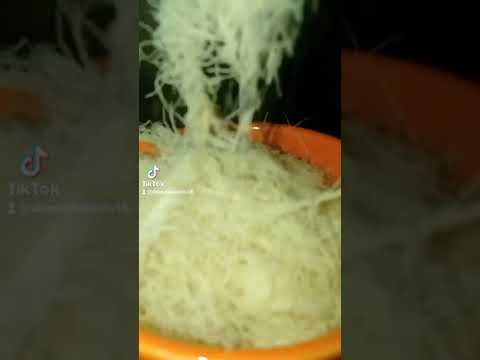 كنافه باللبن ع السريع يممممي رمضان كريم أكلات رمضان يجمعنا رمضان كنافة اكلات سهله