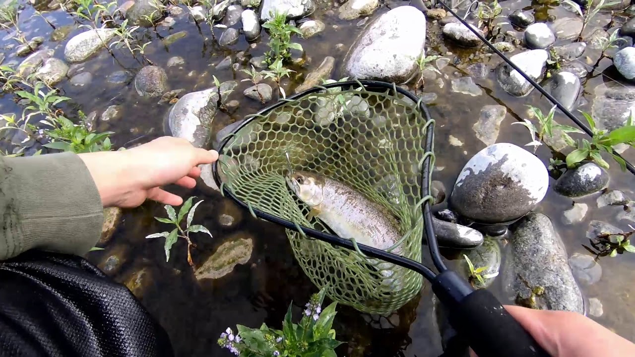 鬼怒川ヤマメ 40cm ヒットシーン Youtube 鬼怒川ヤマメ 40cm ヒットシーン Youtube
