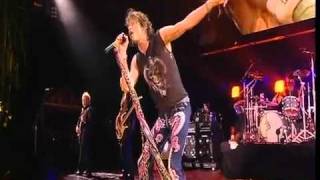 Vignette de la vidéo "aerosmith - what it takes live in Japan"