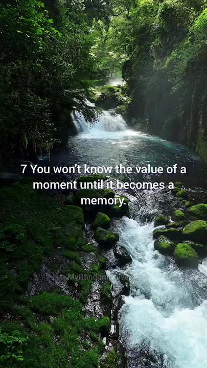 11 Life Lessons People Realize Too Late #lifehacks #shortvideos #inspirationalvideo