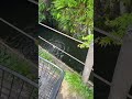 やはりポイ捨ては正義 炎上 やはりポイ捨ては正義 炎上
