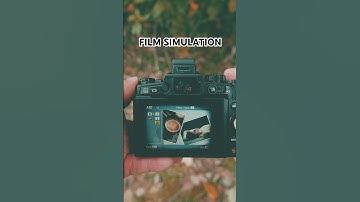 Hidden Film Simulation In Olympus/OM System Cameras