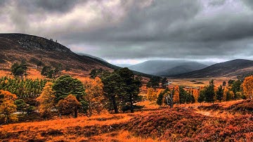 Salman Al Otaibi Holy Quran Surah Al Insan سلمان العتيبي سورة الانسان