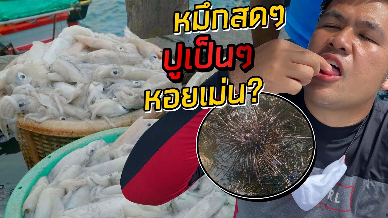 แหล่งซีฟู้ด! ชาวประมง ปูเป็นๆ หมึกสดๆ ถูกกว่าตลาดต้องซื้อแบบนี้