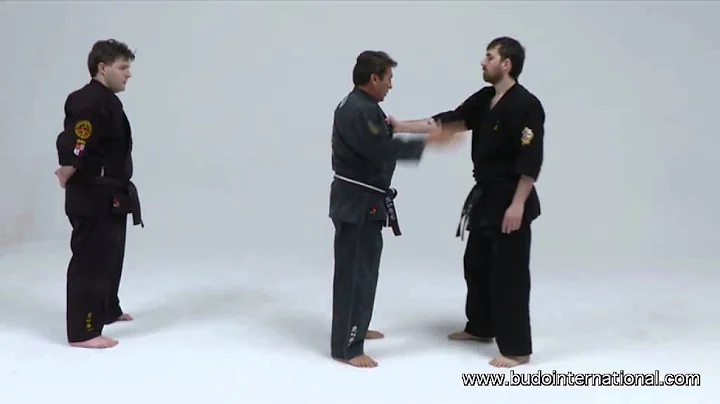 Kenpo Fu-Shih Vol 2. Tiger forms, Combat & Self De...
