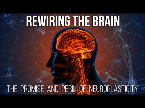 Rewiring The Brain: The Promise And Peril Of Neuroplasticity