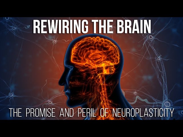 Rewiring the Brain: The Promise and Peril of Neuroplasticity class=