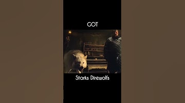 Starks direwolves | GOT #got #direwolf #starks #jonsnowedit #wolf #gameofthrones #winter #wolfpup