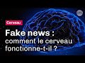 Fake news  questce qui trompe notre cerveau   reportage cnrs