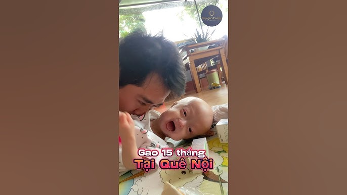 4. Phân Tích và Nhận Định SEO