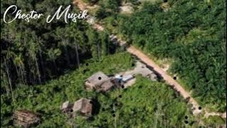 LIRIK LAGU - FOFI  AUDI BAND || COVER SONYA BARA FT KOKO YEFTA⭐🌴