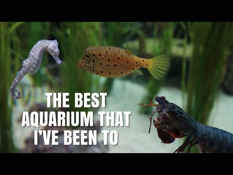 ripley's aquarium of canada map The Coolest Aquarium I’ve EVER Been To! | Ripleys Aquarium Of Canada