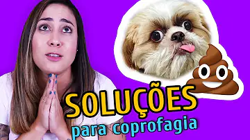 Quem trata animais como filhos pode sofrer transtornos?