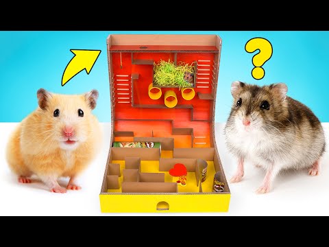 diy-hamster-maze-with-pringles-can-and-spinner-obstacles