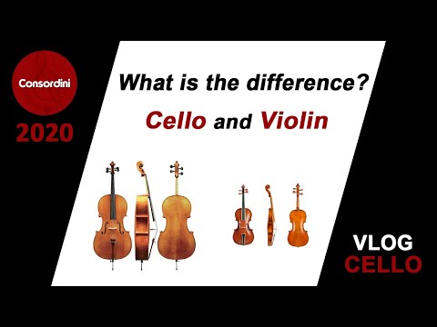 Video: Perbedaan Antara Violin Dan Cello